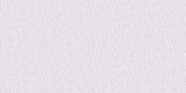 A. Grifoni Palazzo Ragione 7026-3