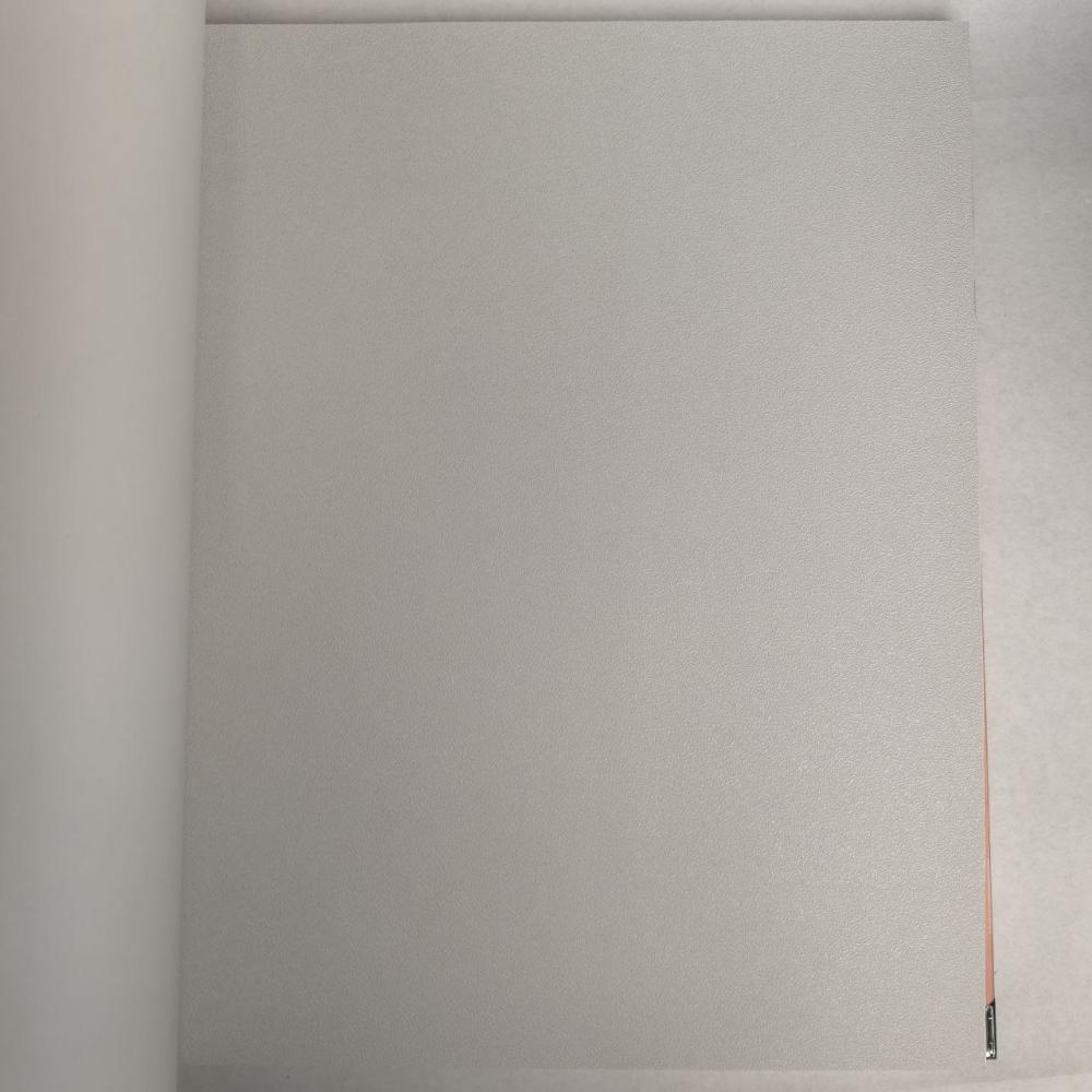 Andrea Rossi Berggi 54445-1