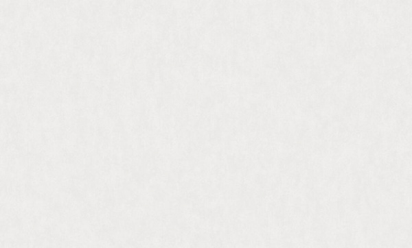 Rasch Bright Whisper W 190013 Rasch Bright Whisper W 190013