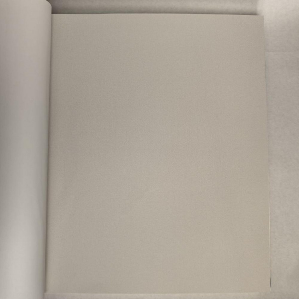 Andrea Rossi Berggi 54450-2 Andrea Rossi Berggi 54450-2