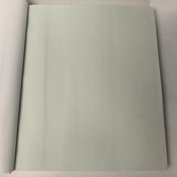 Andrea Rossi Berggi 54452-7