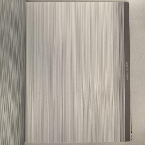 Andrea Rossi Berggi 54447-7